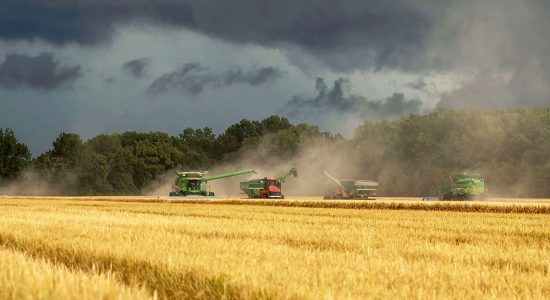 agrisoil agrisoil