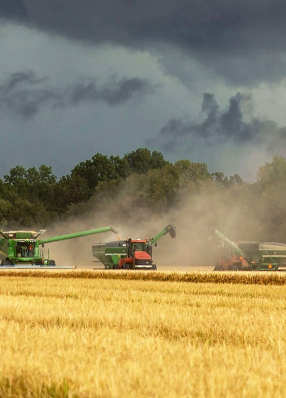agrisoil