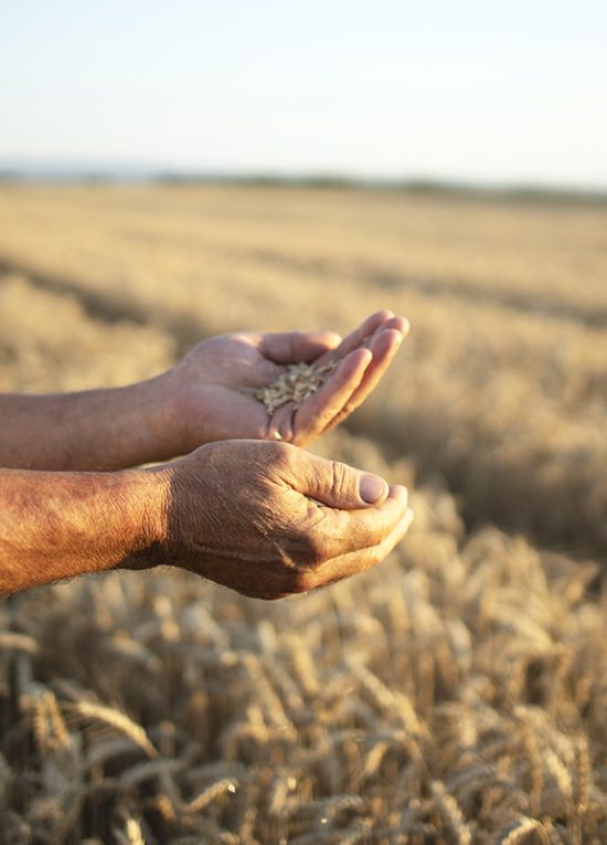 agrisoil agrisoil