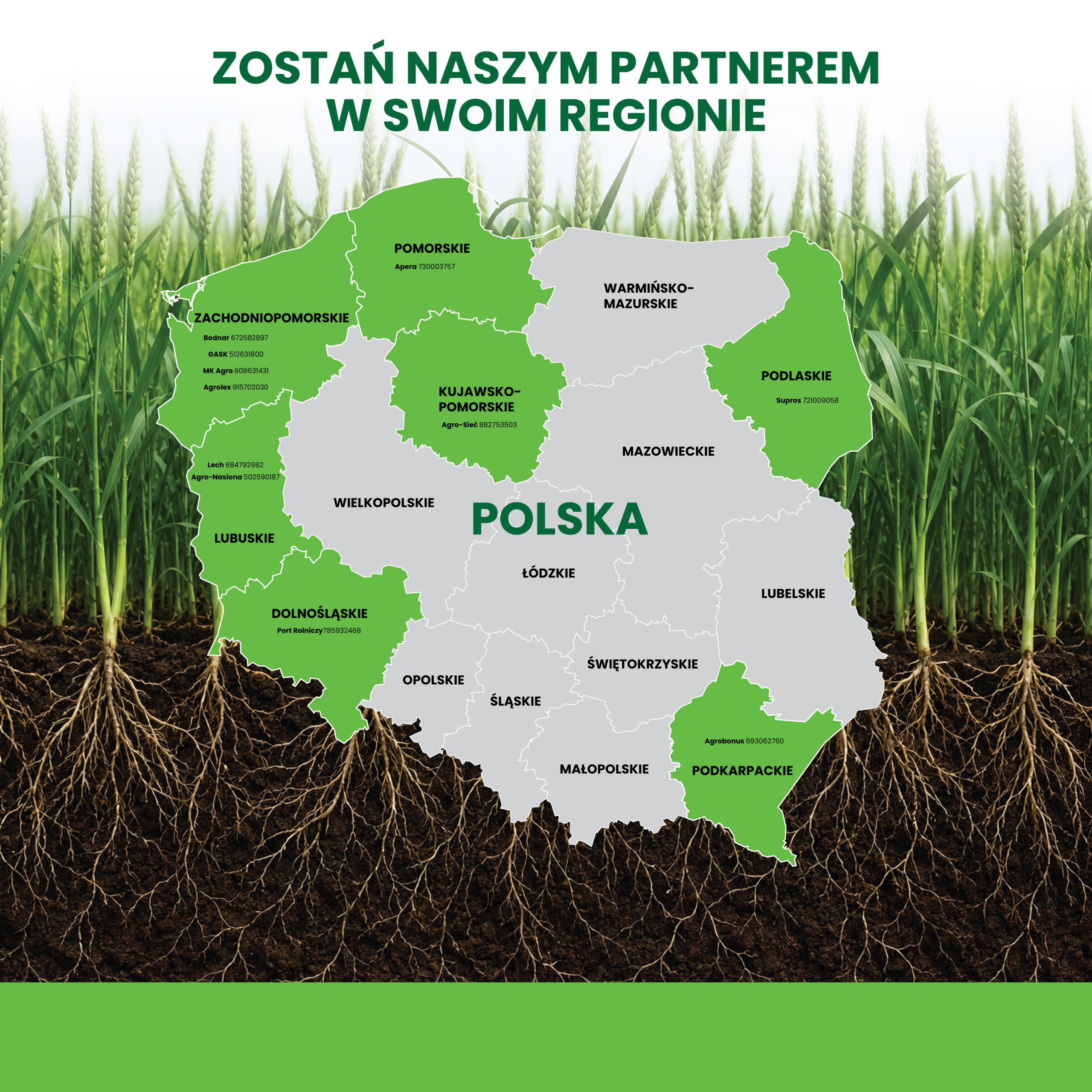 Partnerzy Bioenergy PL